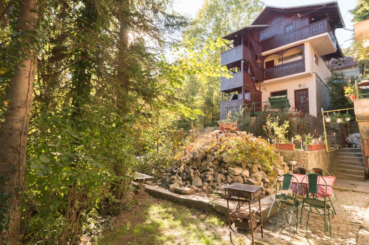 Rustic Regal Daire Sinaia Dış mekan fotoğraf
