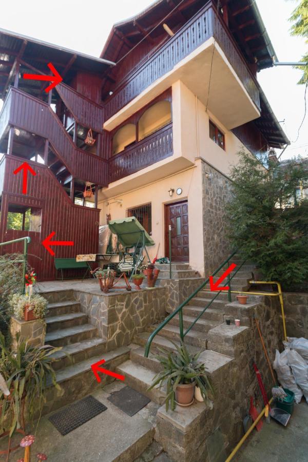 Rustic Regal Daire Sinaia Dış mekan fotoğraf